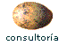 consultoria