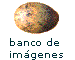 banco de imagenes