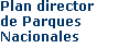 paln director pp.nn.